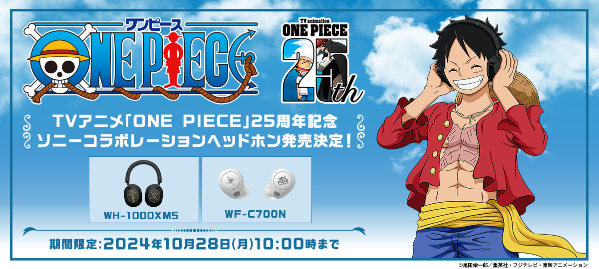 Sony x ONE PIECE 25th