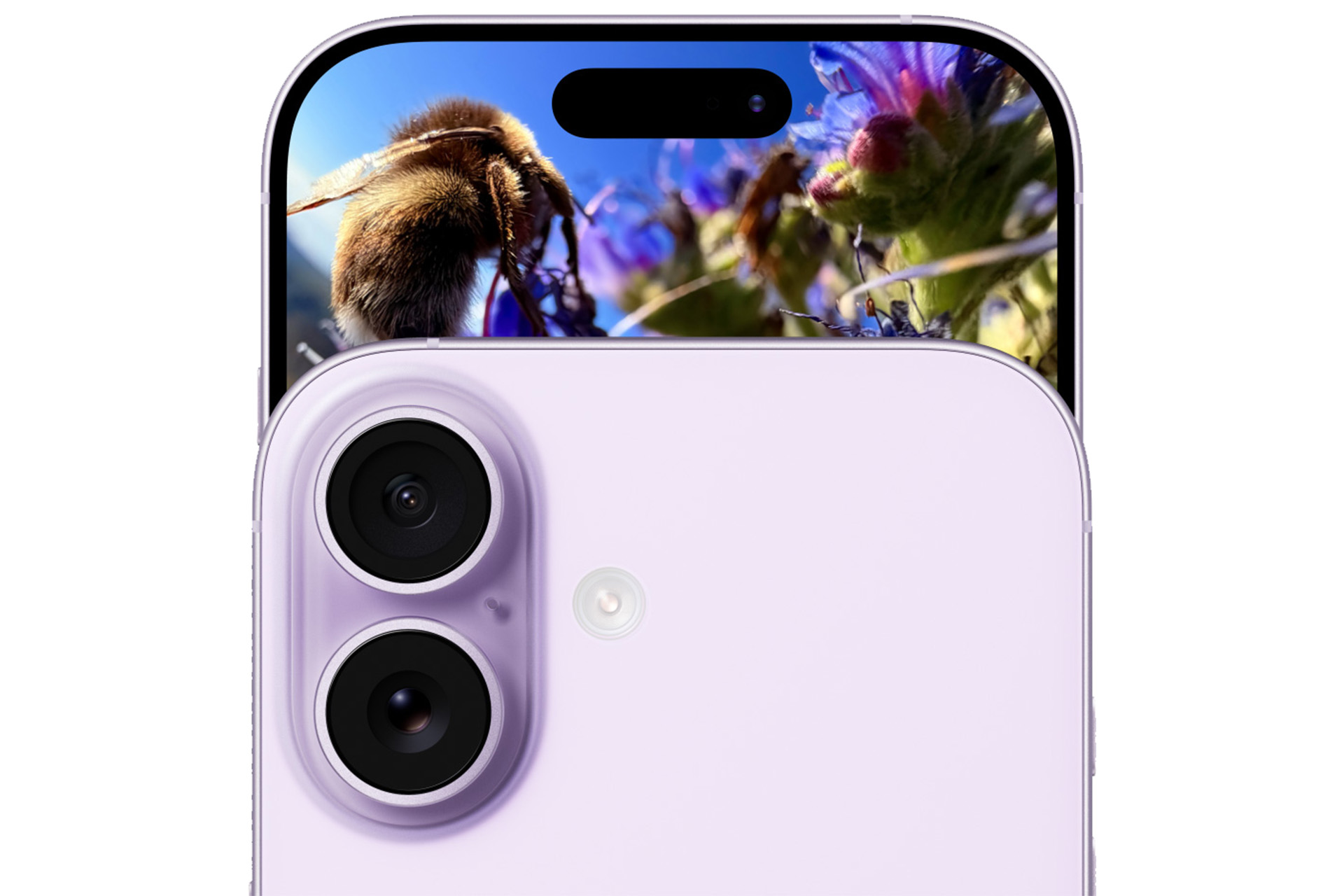 iPhone 17のフロントカメラ部分のクローズアップ。画面には新しい24MPカメラで撮影された高画質なセルフィーが表示されている。